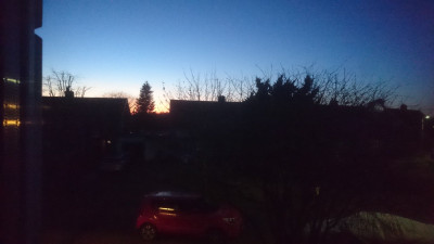 Out of our upstairs window, this contrast caught my eye!!