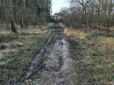 20240124_113359.jpg