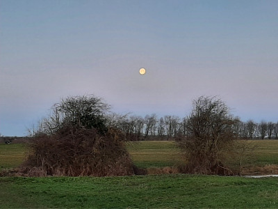 20240126_075303.jpg