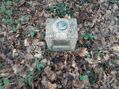 20240128_113125.jpg