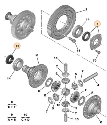 darbuck dif seal.png