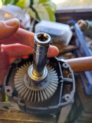 Bearing