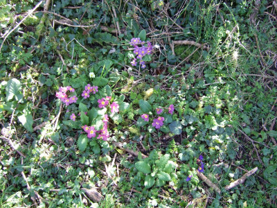 DSCF2900.JPG