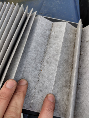 Filter pleat muck