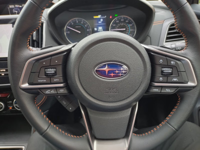 The steering wheel controls with hidden flappy paddles