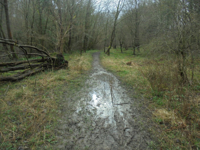 DSC06218.JPG