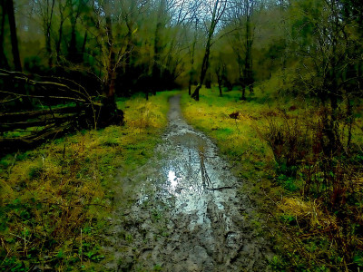 puddle2.jpg