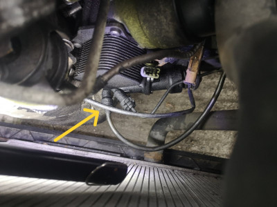 Loose pipe on Picasso 2.jpg