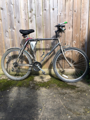 Raleigh 39 Ibs