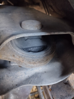 Front Wishbone, rear bush, front left