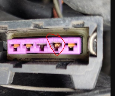 Bosch EV1 .JPG