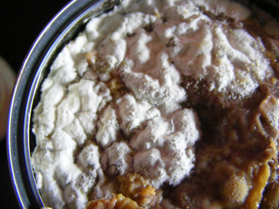 DSCF2044.JPG