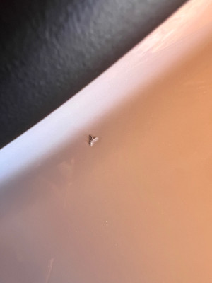 IMG_4097.jpeg