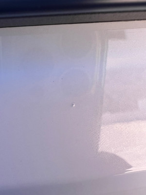 IMG_4088.jpeg