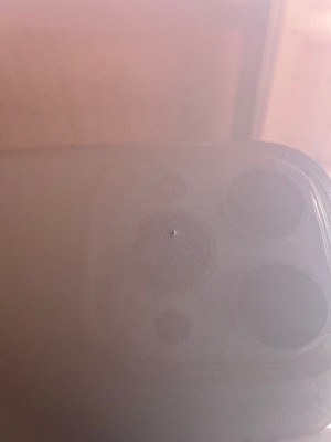 IMG_4086.jpeg