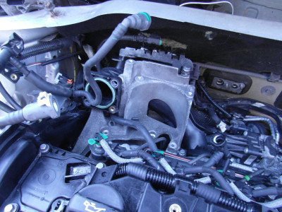 SAM_5154.JPG