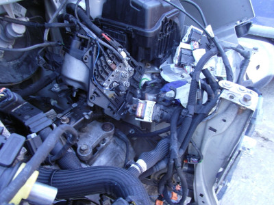 SAM_5157.JPG