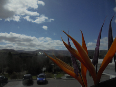View from