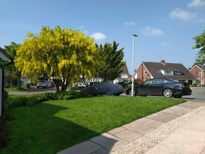 The front garden is looking very happy