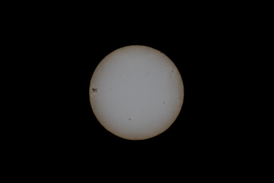 Sun-7265.jpg