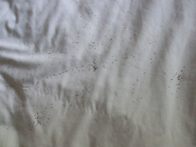 DSCF4022.JPG