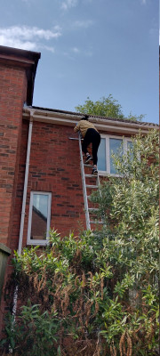 Cleaning the guttering.