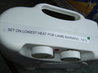 DSCF3158.JPG