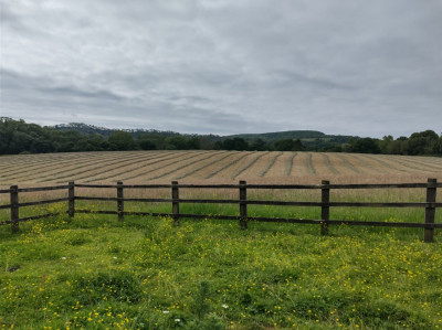 One man went to mow - own work