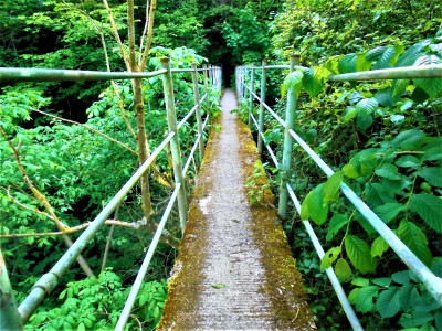 A seek and you will find bridge <br />Mugglewick and Derwent Gorge Woods<br />Nature reserve