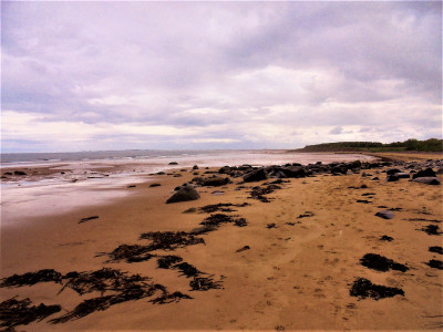 Bit dull at Druridge Bay