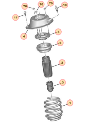 dela front springs.png