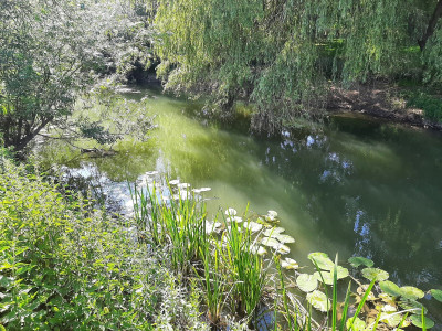The River Lovat near the confluence...