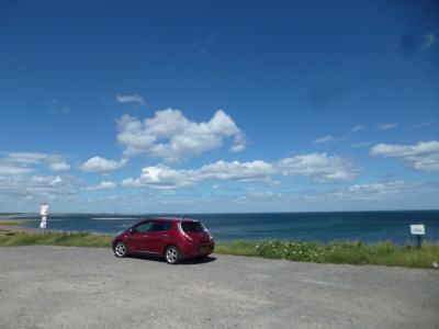 BB Leaf Down at the Seaside