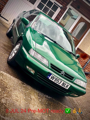 Pre-MoT nerves