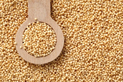 Organic-Amaranth_640x426.jpg