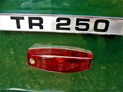 DSC07755 (2).JPG