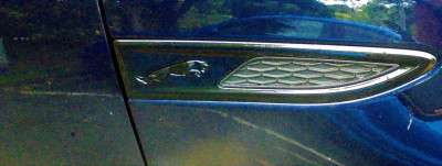 DSC07877 (2).JPG