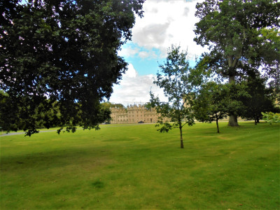 DSC07976 (2).JPG