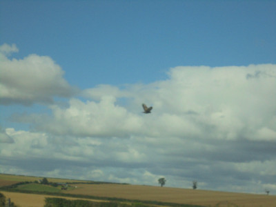 DSC07962.JPG