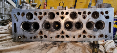 20240908_171804.jpg