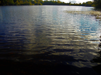 DSC08052 (2).JPG