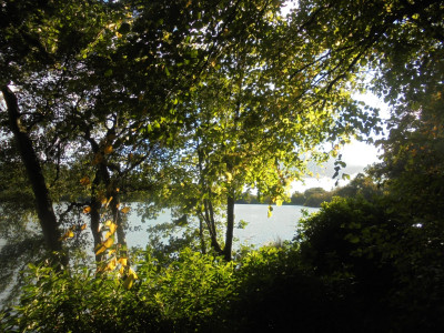 DSC08061.JPG