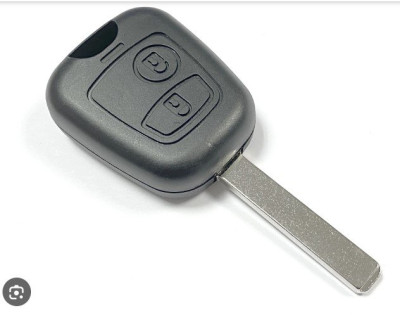 C1 remote.jpg