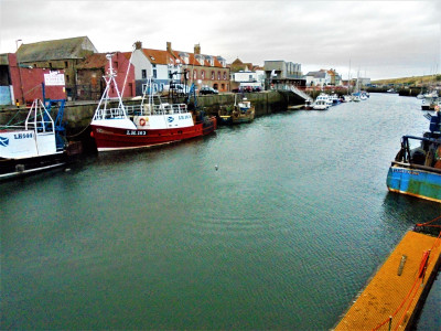DSC08075 (2).JPG