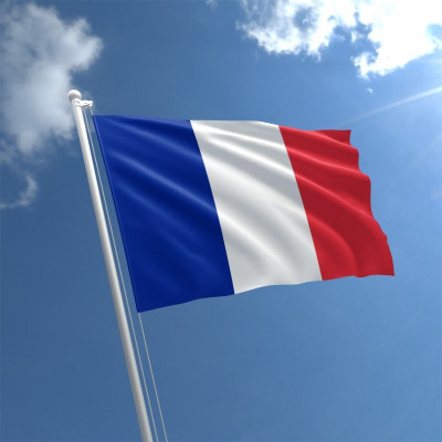 france-flag-std.jpg