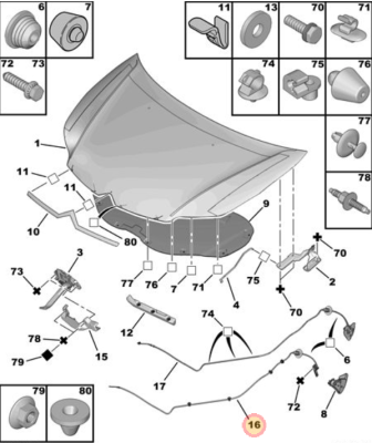 modami bonnet.PNG