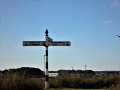DSC08105 (2).JPG