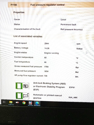 p1166.jpg
