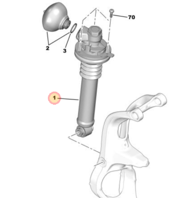 gasto struts.PNG