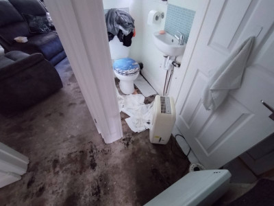 The toilet